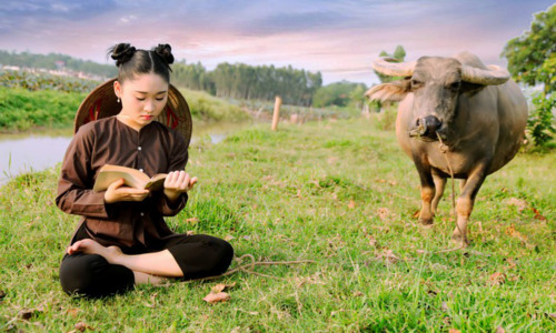 如何学习小学生三年级英语，三年级英语学习中常见问题的解决策略插图2