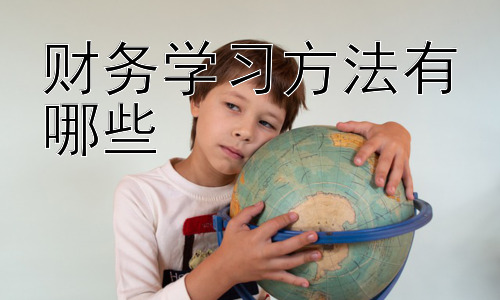 财务学习方法有哪些，财务学习的误区及应对策略插图