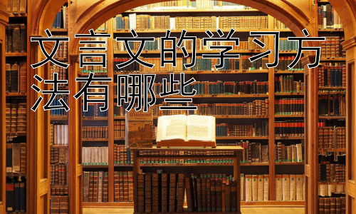 文言文的学习方法有哪些，文言文学习中的常见误区及应对策略插图