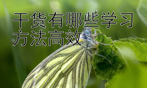 干货有哪些学习方法高效，高效学习的误区及应对策略插图