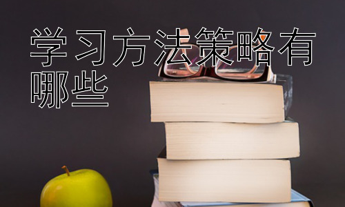 学习方法策略有哪些，高效学习的误区与应对策略插图