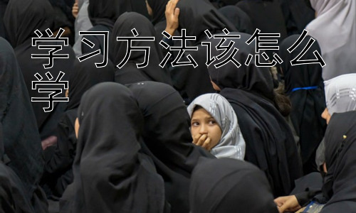 学习方法该怎么学，如何构建适合自己的学习体系插图