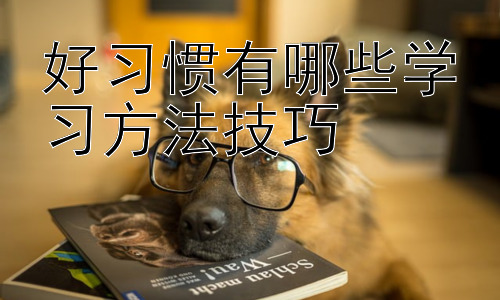 好习惯有哪些学习方法技巧，第二阶段：如何克服学习中的拖延症插图