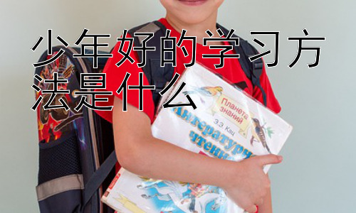 少年好的学习方法是什么，高效学习与兴趣培养的完美结合插图