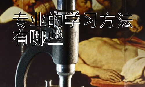 专业的学习方法有哪些，高效学习的策略：时间管理与专注力培养插图