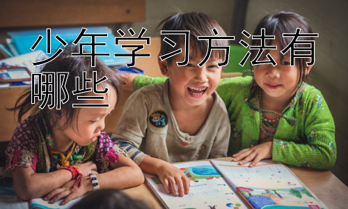 少年学习方法有哪些，提升少年学习效率的策略：专注力与学习环境的优化插图