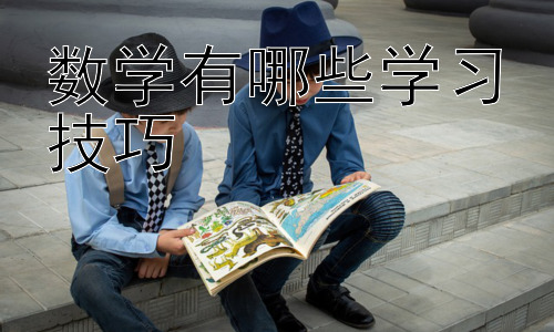 数学有哪些学习技巧，数学学习中的常见误区与应对策略插图
