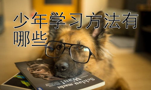 少年学习方法有哪些，  培养少年的学习自主性：让学习成为一种习惯插图