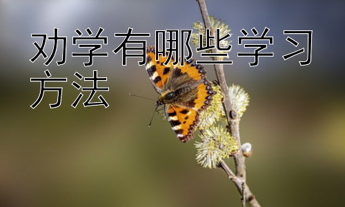 劝学有哪些学习方法，高效学习的误区与突破：避免学习陷阱，走向成功插图