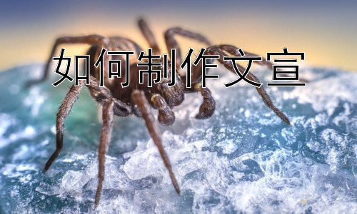如何制作文宣，教育文宣的特殊考量：如何避免信息偏差和提升信任度插图