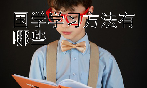 国学学习方法有哪些，国学学习的误区与应对策略插图