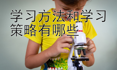 学习方法和学习策略有哪些， 提升学习效率的实用技巧插图