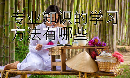 专业知识的学习方法有哪些，  高效利用碎片化时间学习专业知识插图