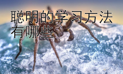 聪明的学习方法有哪些，不同学习阶段的学习方法策略插图