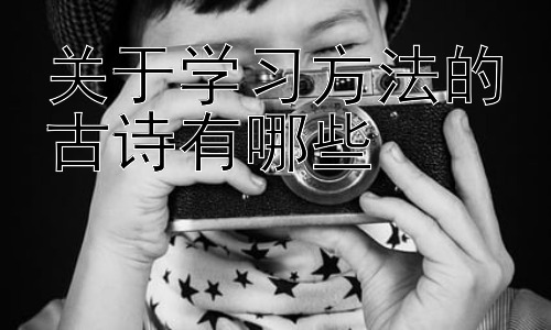 关于学习方法的古诗有哪些，从古诗词中汲取现代学习方法的启示插图