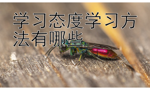 学习态度学习方法有哪些，  如何提升学习效率：时间管理与学习策略的结合插图