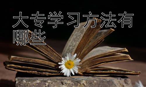 大专学习方法有哪些，大专生如何提升学习效率及自主学习能力插图