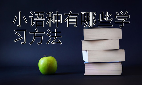 小语种有哪些学习方法，克服小语种学习中的常见障碍插图