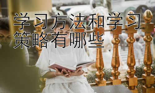 学习方法和学习策略有哪些， 提升学习能力的策略：培养元认知能力插图