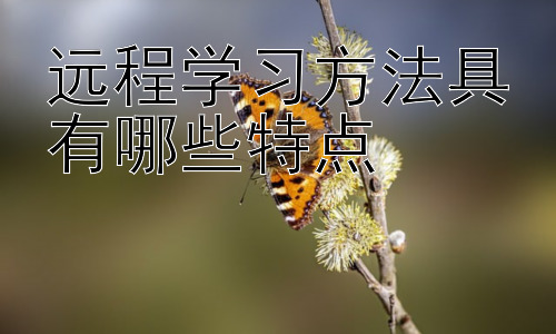 远程学习方法具有哪些特点，远程学习的挑战与应对策略插图