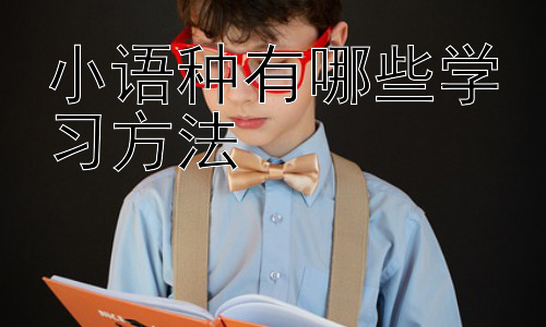 小语种有哪些学习方法，小语种学习中的文化融入与跨文化交际插图