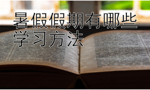 暑假假期有哪些学习方法，暑假学习方法的延伸：如何避免假期综合征插图