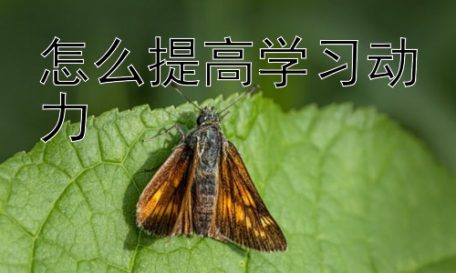 怎么提高学习动力， 如何有效利用学习资源提升学习动力插图