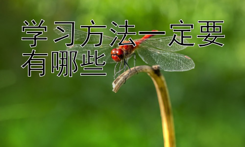 学习方法一定要有哪些，如何根据自身学习风格调整学习方法插图