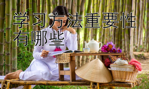 学习方法重要性有哪些，不同学习风格与学习方法的匹配插图