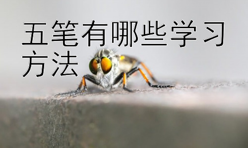 五笔有哪些学习方法，五笔学习中的常见误区及应对策略插图