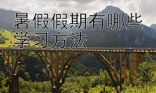 暑假假期有哪些学习方法，暑假学习效率提升技巧：时间管理与学习方法优化插图