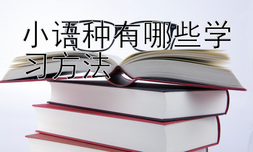 小语种有哪些学习方法，小语种学习中的文化融入：跨越语言的桥梁插图