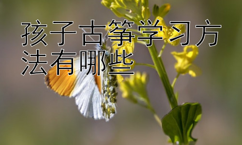 孩子古筝学习方法有哪些，古筝学习中的常见问题与解决方法插图