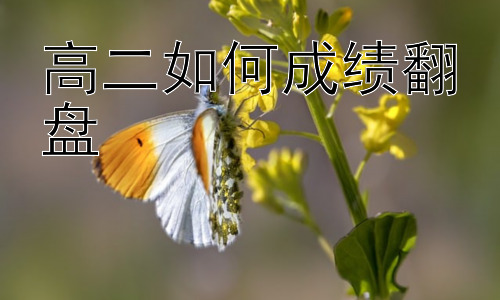 高二如何成绩翻盘，高二如何有效利用课外时间提升学习效率插图