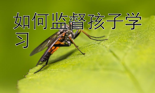 如何监督孩子学习，  培养孩子自主学习能力的策略插图