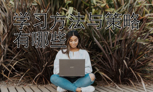 学习方法与策略有哪些，不同学习风格的学习策略插图