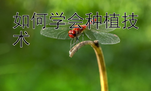 如何学会种植技术，从兴趣入手：如何高效学习种植技术插图