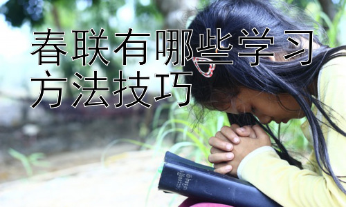 春联有哪些学习方法技巧，春联的文化传承与现代应用插图