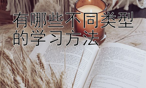 有哪些不同类型的学习方法，不同学习风格与个性化学习策略插图
