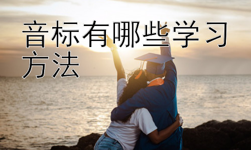 音标有哪些学习方法，  突破音标学习瓶颈：克服常见误区及个性化学习策略插图