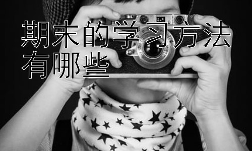 期末的学习方法有哪些，高效应对期末考试的额外策略：善用资源，寻求帮助插图