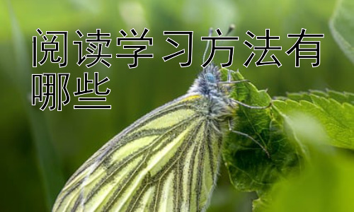 阅读学习方法有哪些，高效阅读中的批判性思维培养插图