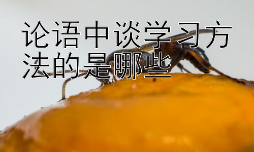 论语中谈学习方法的是哪些，从《论语》看现代学习方法的启示插图