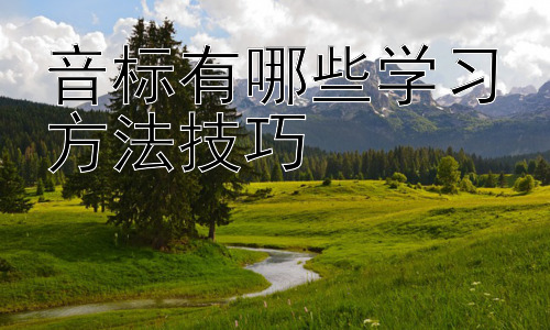 音标有哪些学习方法技巧，英语音标学习中的常见误区及应对策略插图