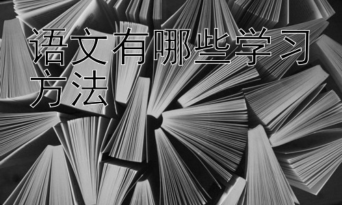 语文有哪些学习方法，提升语文能力的有效策略：注重实践与反思插图