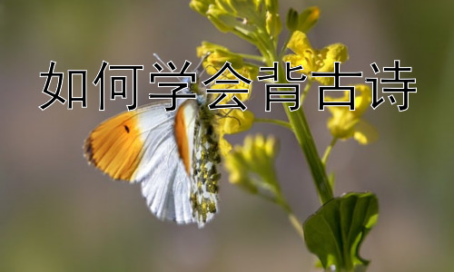如何学会背古诗，古诗词学习中的常见误区及应对策略插图