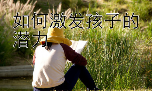 如何激发孩子的潜力，  挖掘孩子隐藏的天赋：多元智能理论的应用插图