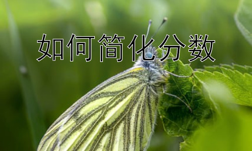 如何简化分数，分数简化在实际生活中的应用插图