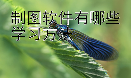 制图软件有哪些学习方法，制图软件学习进阶：从入门到精通的技巧插图