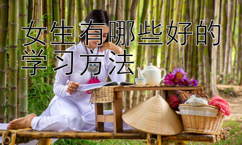女生有哪些好的学习方法，学习方法的长期坚持与自我反思插图